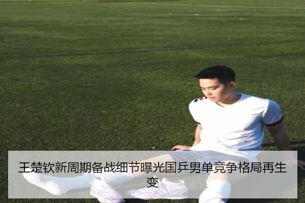 王楚钦新周期备战细节曝光国乒男单竞争格局再生变